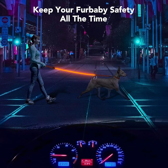 Colaseeme Light Up Dog Leash, LED Pet Leashes USB Rechargeable, Glow Safety Dogs Lights at Night