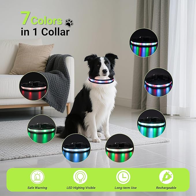Light Up Dog Collar,Rechargeable Waterproof Led Dog Collar with Remote,Glow in Dark for Night