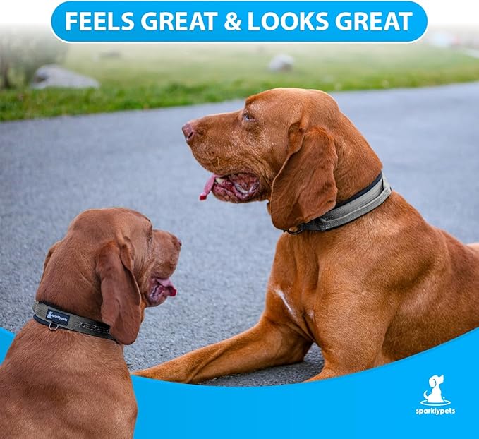 SparklyPets Heavy Duty Dog Collar with Handle for Medium and Large Dogs ??Professional Collar with
