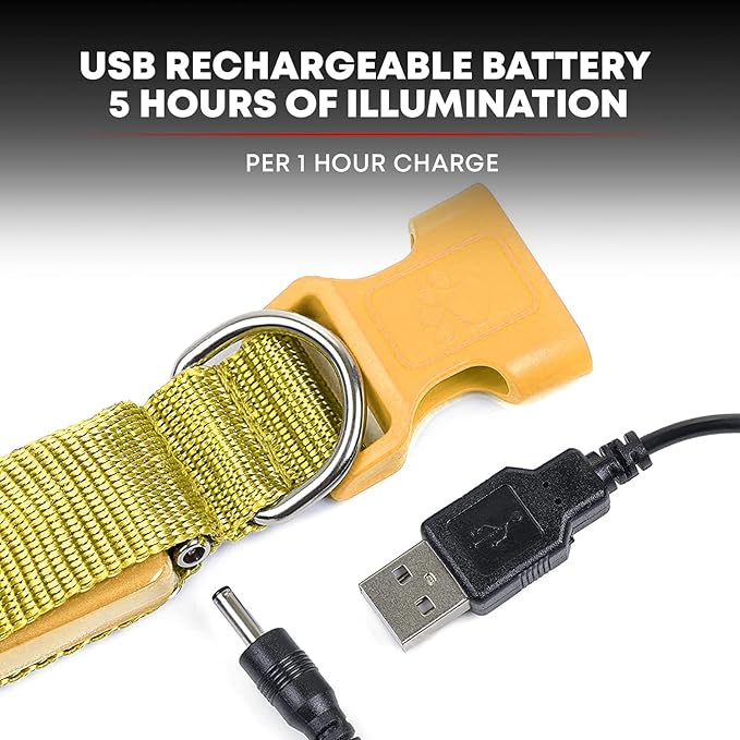 ILLUMISEEN LED Dog Collar USB Rechargeable - Bright & High Visibility Lighted Glow Collar for Pet