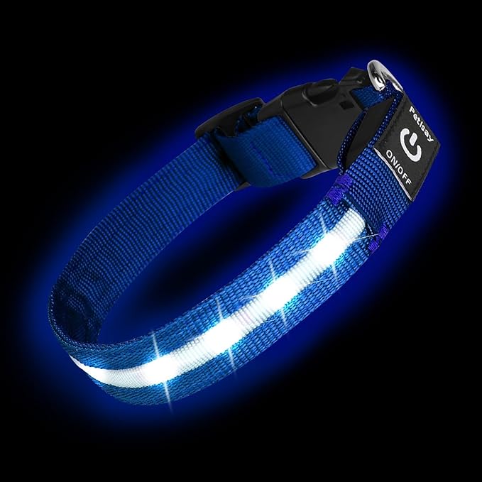 Super Bright LED Dog Collar - Fully Waterproof & Adjustable Glow Collar - USB-C Rechargeable for