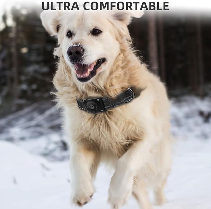 Airtag Dog Collar - 100% Waterproof AirTag Holder, Reflective, Soft Padded, Everlasting GPS Collar