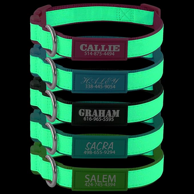 Personalized Dog Collars for Small & Large Dogs with Custom Name and Phone Numbers, Glow in The