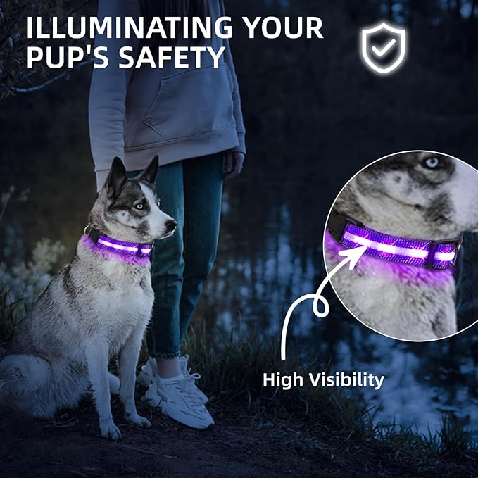 Super Bright LED Dog Collar - Fully Waterproof & Adjustable Glow Collar - USB-C Rechargeable for