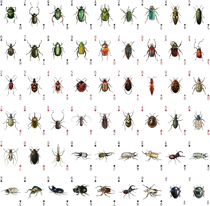 Bugs Kingdom Playing Cards (Poker Deck 54 Cards All Different) Beetles Bugs Entomology Art Creepy