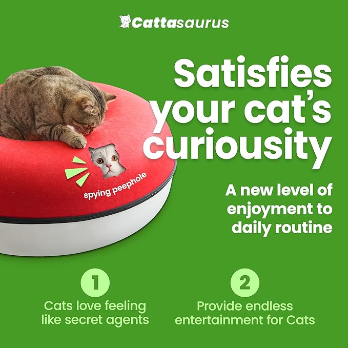 Cattasaurus Peekaboo Cat Cave, Extra Spacious for Multiple & Large Cats 12+ lbs, Scratch Detachable