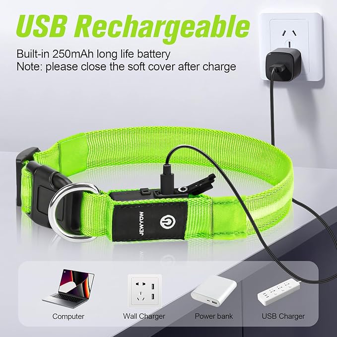 LED Dog Collar, Light Up Dog Collar, USB Rechargeable - Brightest Dog Lights for Night Walking, 6