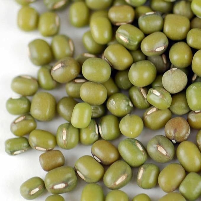 Mung Bean Sprouting Seed: 35 Lb - Organic, Non-GMO - Handy Pantry Brand - Dried Mung Beans for