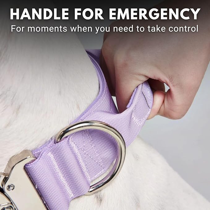 Spark Paws Tactical Dog Collar - Heavy Duty, Premium Quality, Thick and Durable for Large and