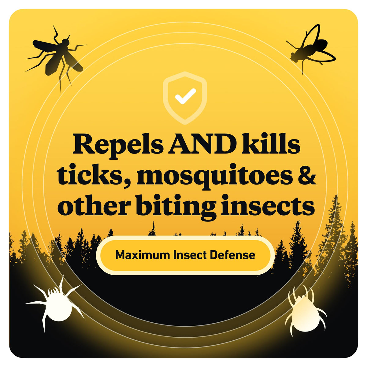 Sawyer Products SP6572 Twin Pack Premium Permethrin Clothing Insect Repellent Trigger Spray, 24