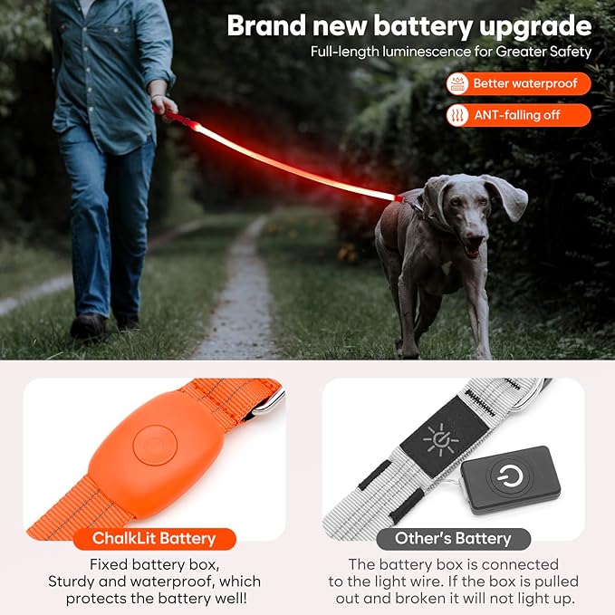 LED Dog Leash, Light Up Dog Leash 4 Ft USB Rechargeable Waterproof, Nylon Reflective Leashes with