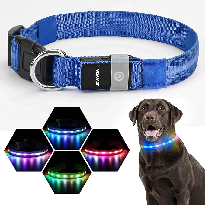 LED Dog Collar, Light Up Dog Collar, USB Rechargeable - Brightest Dog Lights for Night Walking, 6