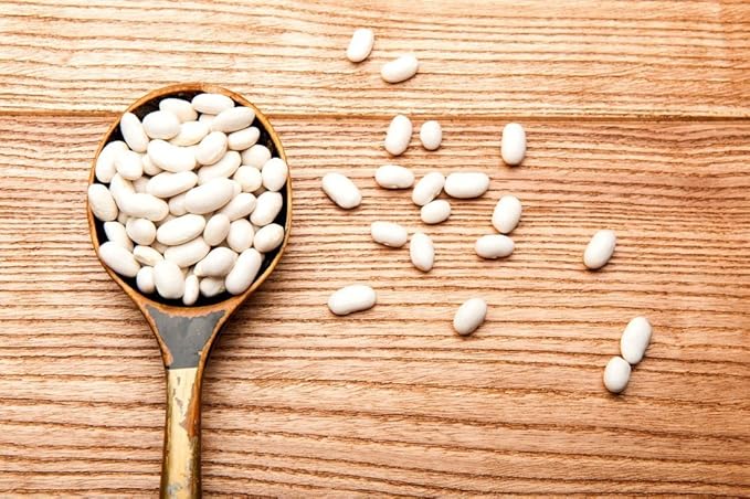 Food to Live Organic Cannellini Beans, 1 Pound ??Non-GMO, Dried White Kidney Beans, Sproutable