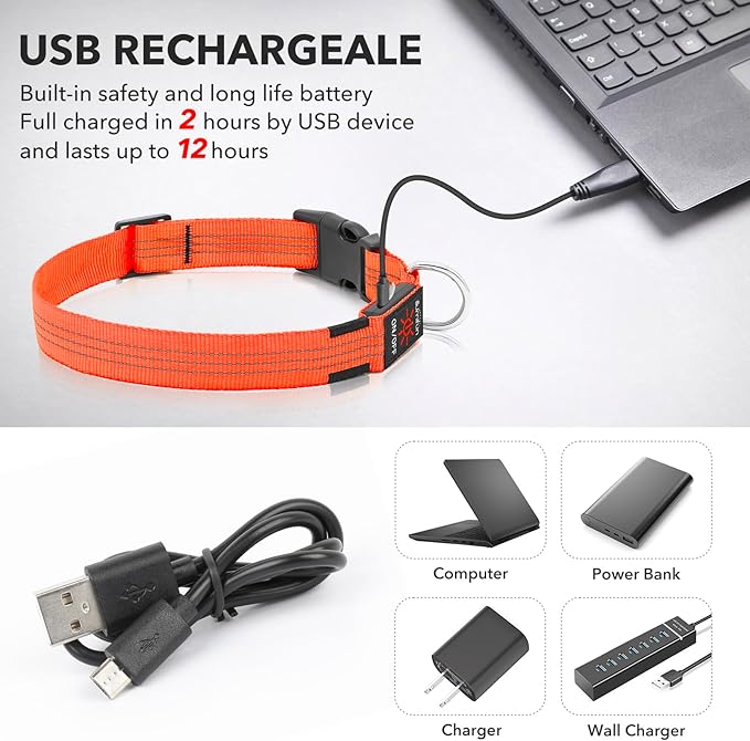 Illumifun Light Up Dog Collar USB Rechargeable LED Dog Collar, Adjustable Blinking Dog Light for