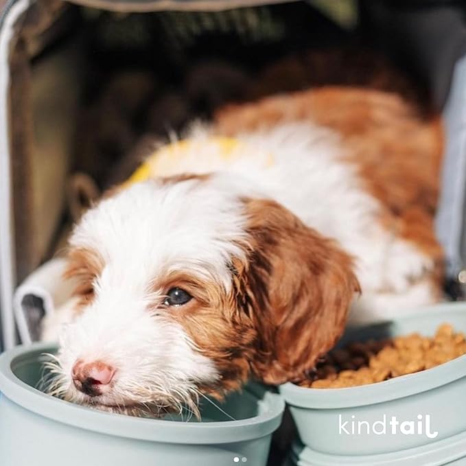 KindTail Dog Travel Bowls - Set of 2 Portable Pet Food & Water Dishes with Lid & Handle - Each