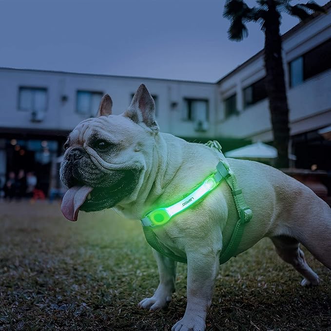 LaRoo Light Up Dog Collar with Nylon Stickers, Universal Glowing Collar Accessories for Leash
