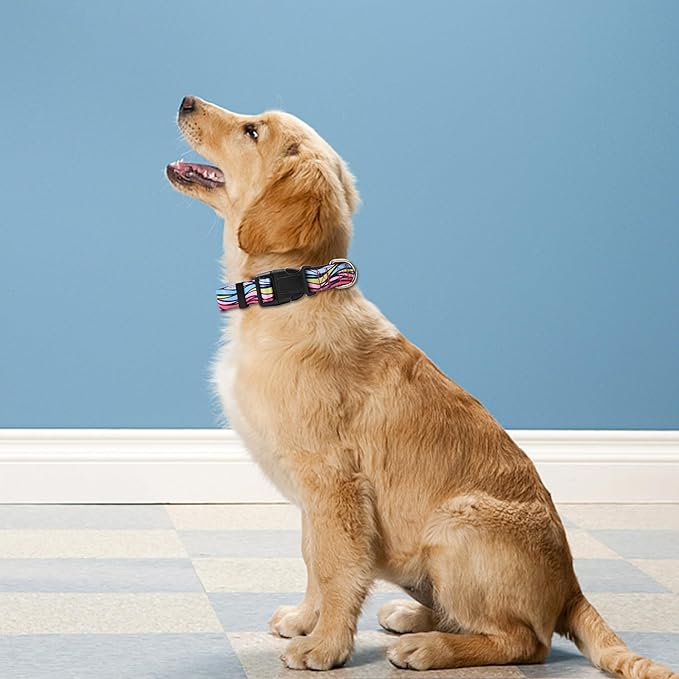 Reflective Dog Collar, Adjustable Soft Neoprene Padded Nylon Pet Collars with Buckle for Puppy and