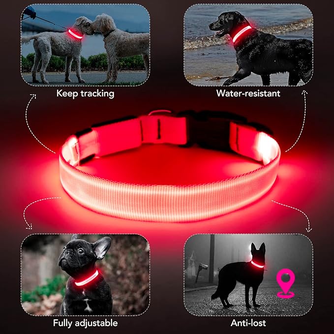 Light Up Collar, Led Dog Collar Adjustable, Rechargeable Waterproof, Night Walking Lights, Glow in