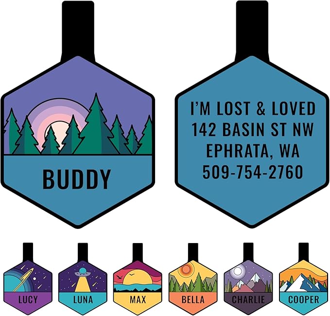 GoTags Silent Dog Tag, Personalized Engraved Hexagon Silicone Dog and Cat Name Pet ID Tags