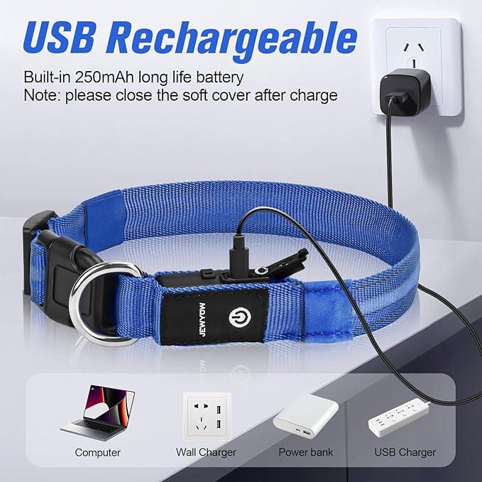 LED Dog Collar, Light Up Dog Collar, USB Rechargeable - Brightest Dog Lights for Night Walking, 6