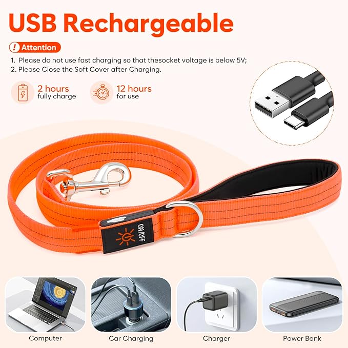 LED Dog Leash, 4 Ft Light Up, USB Rechargeable, Waterproof, Nylon Reflective with Padded Handle