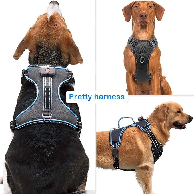 Light Up Dog Harness, No Pull LED Dog Harness with Handle, Rechargeable Lighted Safety Vest for