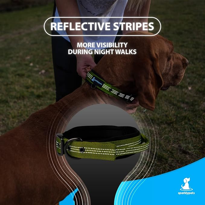 SparklyPets Heavy Duty Dog Collar with Handle for Medium and Large Dogs ??Professional Collar with