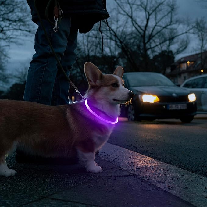 HIGO Light Up Dog Collar, LED Dog Collar for Night Safety with 3 Modes, Type-C Rechargeable &