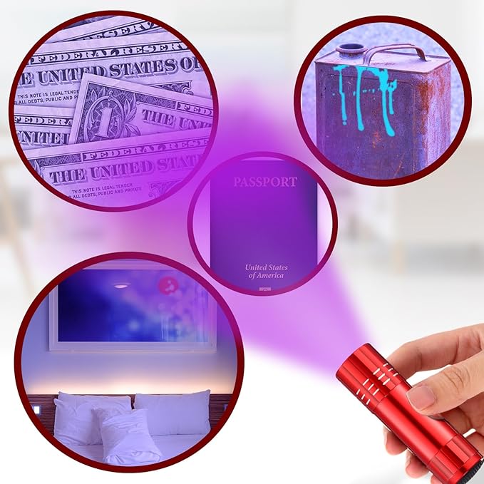 Riakrum 12 Pieces UV Blacklight Flashlights LED Handheld Mini Light Flashlight Small Portable