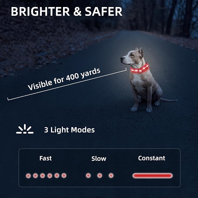 Super Bright LED Dog Collar - Fully Waterproof & Adjustable Glow Collar - USB-C Rechargeable for