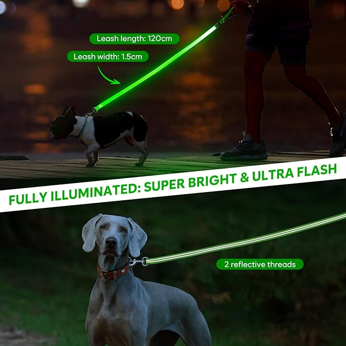 LED Dog Leash, 4 Ft Light Up Dog Leash USB Rechargeable Waterproof, Nylon Reflective Leashes with