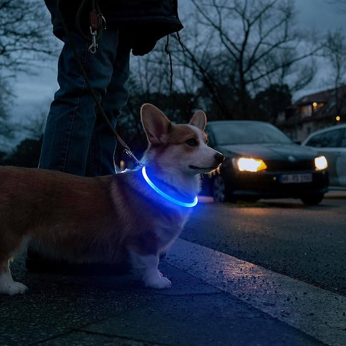 HIGO LED Dog Collar, USB Rechargeable Light Up Dog Collars Glow in The Dark, TPU Cuttable Pet