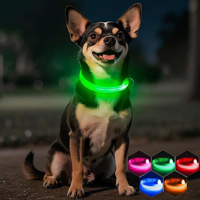 Light Up Dog Collar for Small Dogs - Rechargeable Puppy Collars Glow in The Dark LED Dog Collar