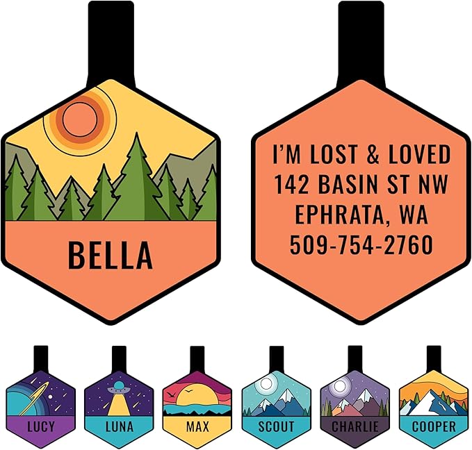 GoTags Silent Dog Tag, Personalized Engraved Hexagon Silicone Dog and Cat Name Pet ID Tags