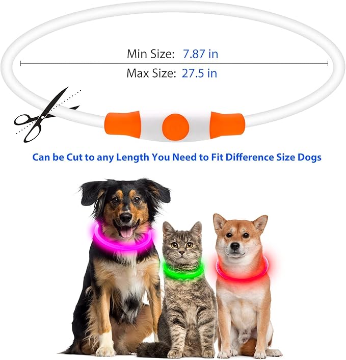 Flashseen LED Dog Collar, USB Rechargeable Glowing Lighted Up Collar, Cuttable Water-Resistant TPU