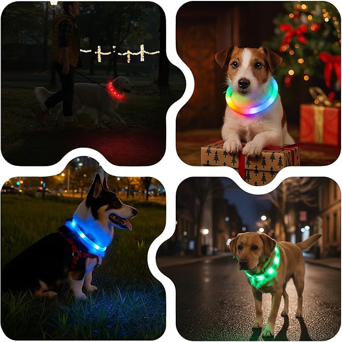 Light Up Dog Collar, Rechargeable Glowing Dog Collar, Light Dog Collar for Night Walking with 1640