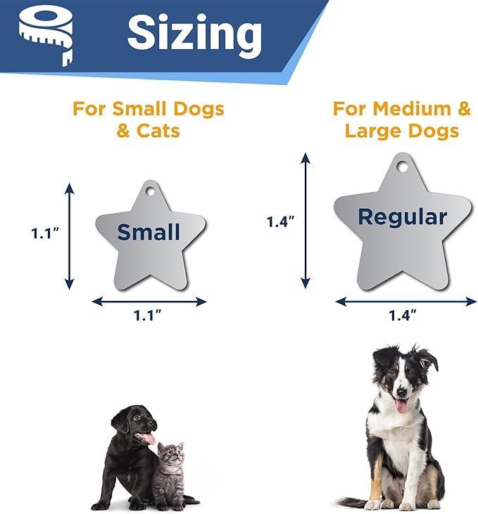 GoTags Stainless Steel Pet ID Tags, Personalized Dog Tags and Cat Tags, up to 8 Lines of Custom