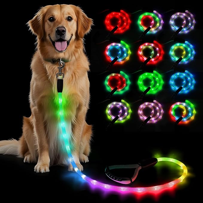 BSEEN Light Up Dog Leash - LED Dog Leash Type-C Rechargeable, 13 Lighting Modes, Glow in The Dark