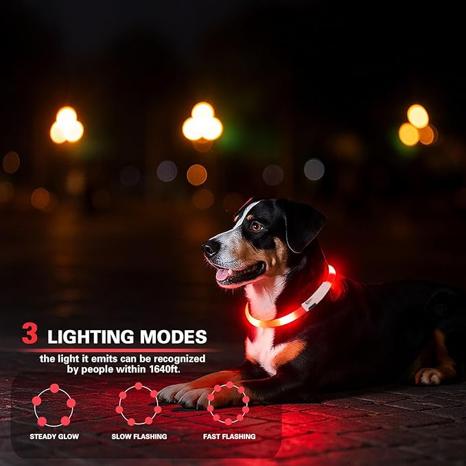 Light Up Dog Collar, Rechargeable Glowing Dog Collar, Light Dog Collar for Night Walking with 1640