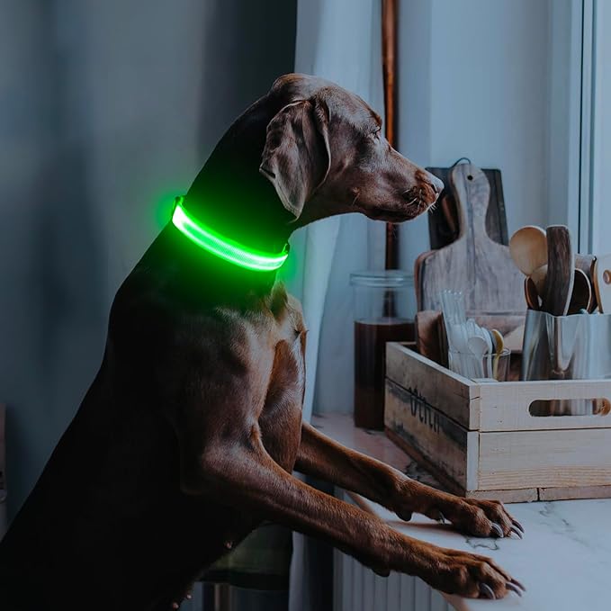 Illumifun LED Collar for Small Dogs, USB Rechargeable Light Up Dog Collar, Flashing Pet Safety