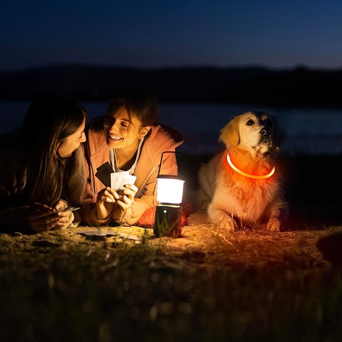 HIGO Light Up Dog Collar USB Rechargeable LED Dog Collar Glow in The Dark, TPU Flash Dog Necklace