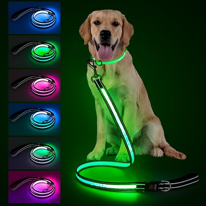 4 Ft LED Dog Leash, Light Up & Lighted Dog Leash, 7 Lighting Modes, Glow in The Dark, Reflective