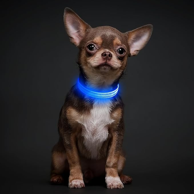 Illumifun LED Collar for Small Dogs - USB Rechargeable Dog Safety Collar Light, Adjustable Nylon