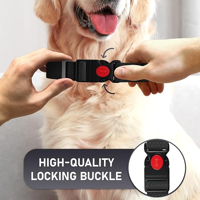Adjustable Dog Collar with QR Code Dog Tag ID Attached - Made in USA - Honeycomb Waterproof Heavy
