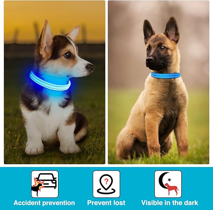 Light Up Dog Collar at Night, Led Dog Collar Adjustable, Rechargeable Waterproof, Dog Lights for