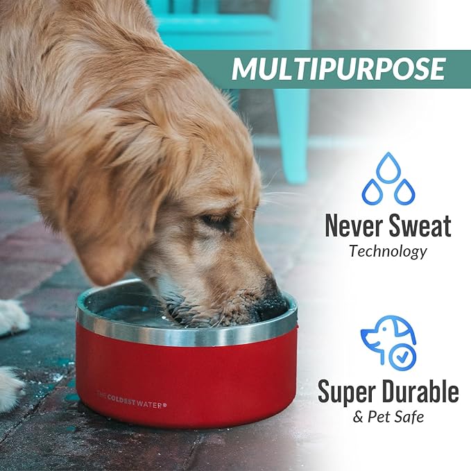Coldest Dog Bowl - Anti Rust Metal, Non Slip, 3 Layers Insulated Stainless Steel Dog Bowls - Spill