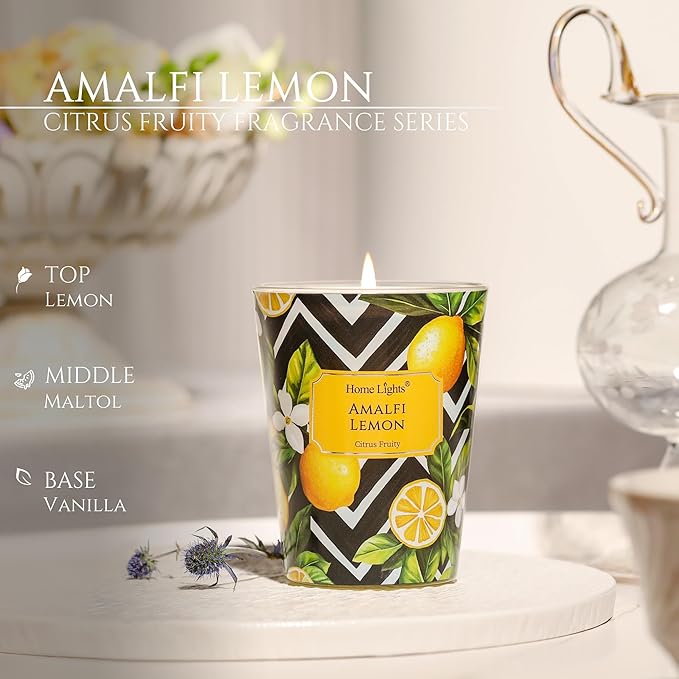 HomeLights Large jar Candle | 1-Wick Long-Lasting Scented Candles, 6.7oz Natural Soy Wax Candle for