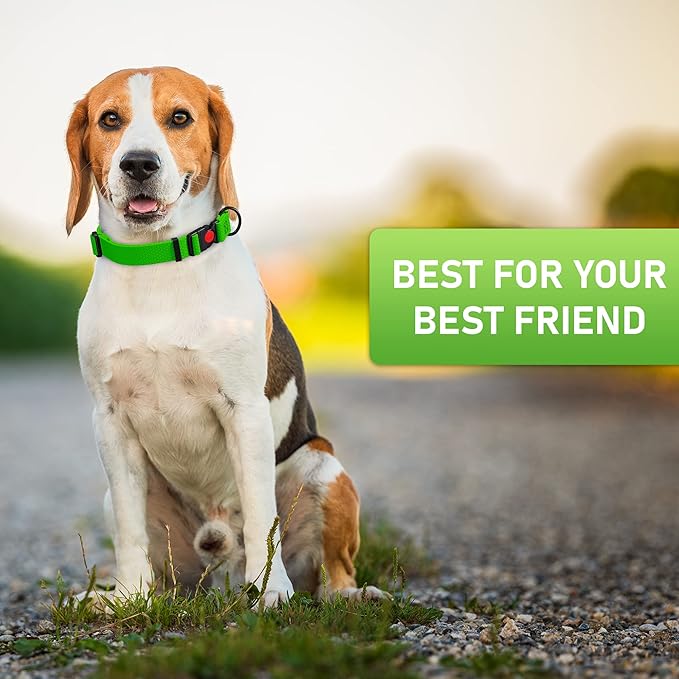 Adjustable Dog Collar with Safety Lock Buckle - Made in USA - Honeycomb Waterproof Heavy Duty Dog