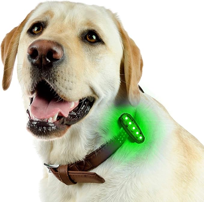 USB Rechargeable LED Safety Lights (2 Pack) - Clip on Strobe Running Lights for Runners