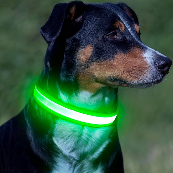 Vizpet LED Dog Collar, Light Up Dog Collar Adjustable USB Rechargeable Super Bright Safety Light